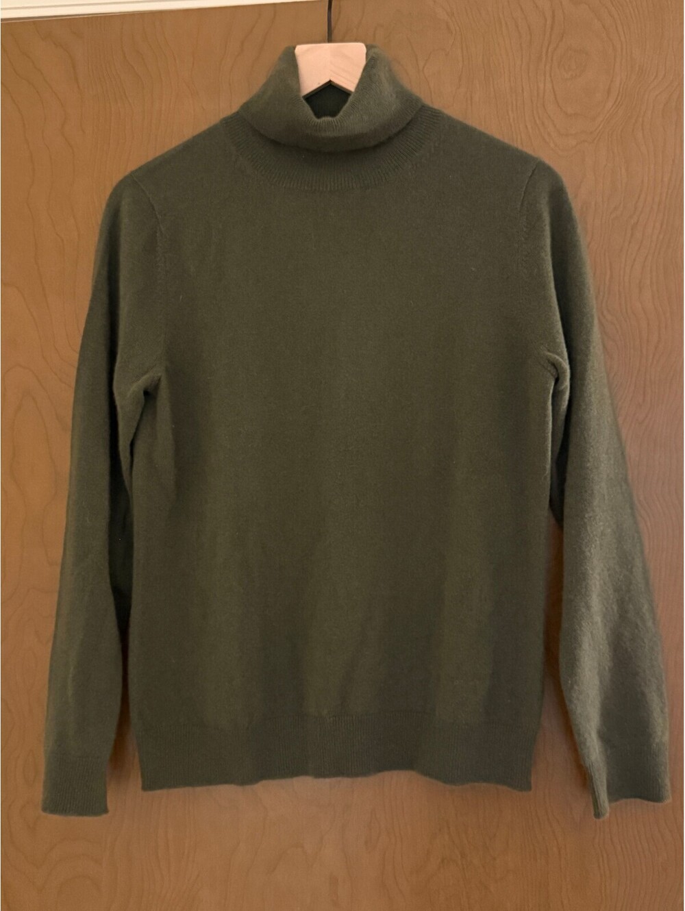 Gobi 100% Cashmere Olive Green Turtleneck Sweater Quiet Luxury Cozy Minimalist